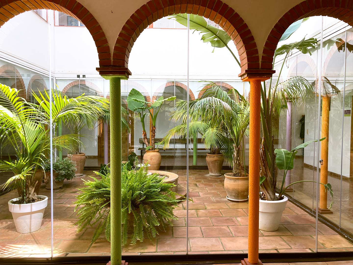 Patio del colegio Educatio