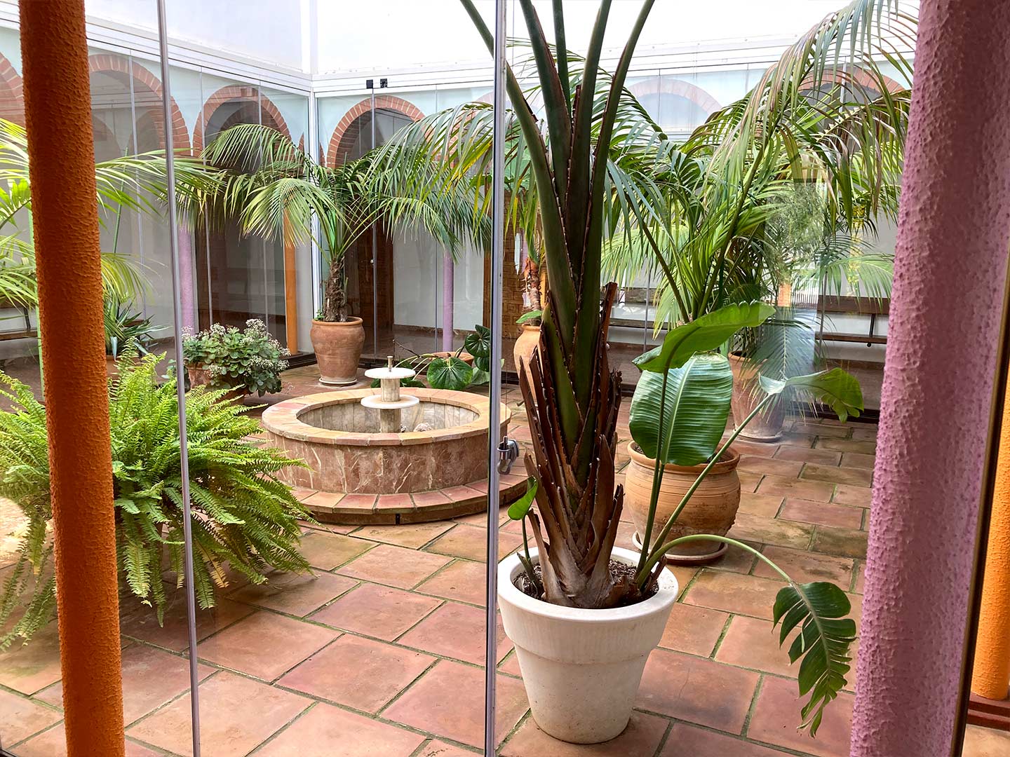 Patio del colegio Educatio
